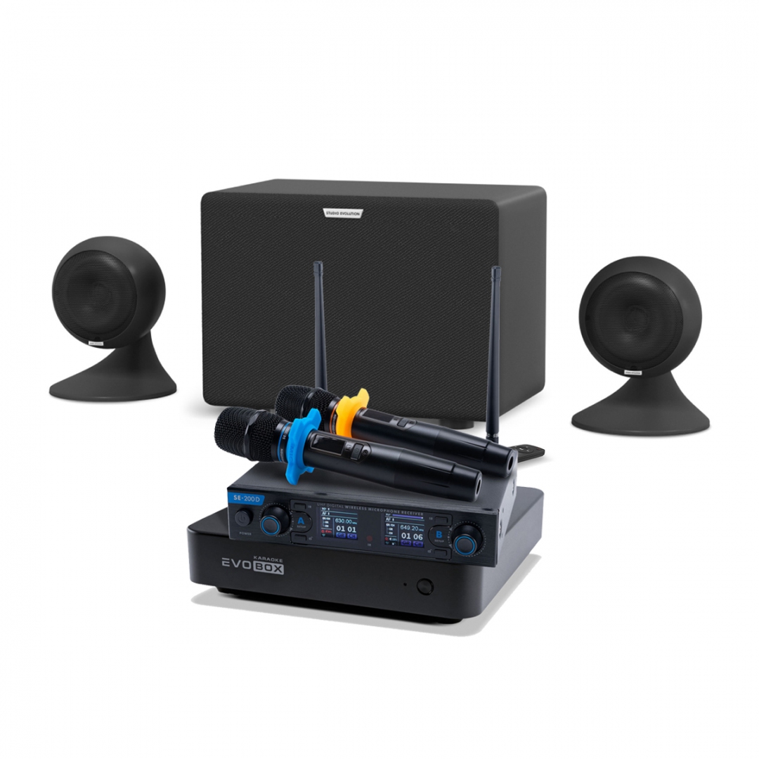 караоке-комплект EVOBOX + EvoSound Sphere 2.1 в Кировске