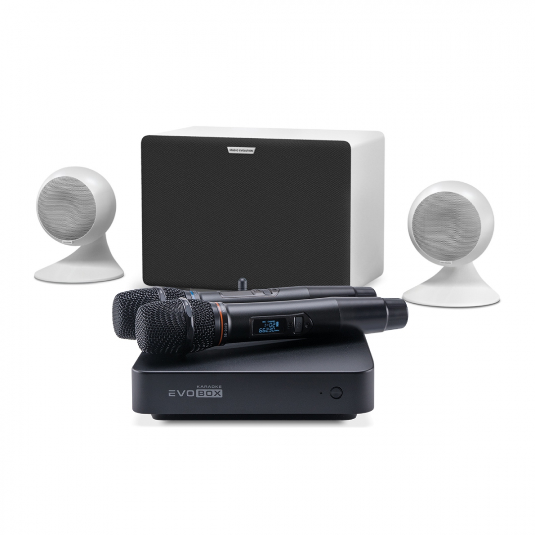 караоке-комплект EVOBOX Classic + EvoSound Sphere 2.1 в Кировске