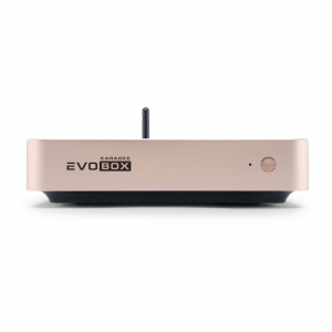 EVOBOX Plus караоке-система для дома в Кировске