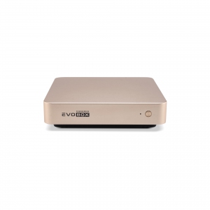 EVOBOX с микрофонами в Кировске